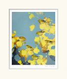 HL3005-Goldcrests-in-yellow-and-grey-Mounted