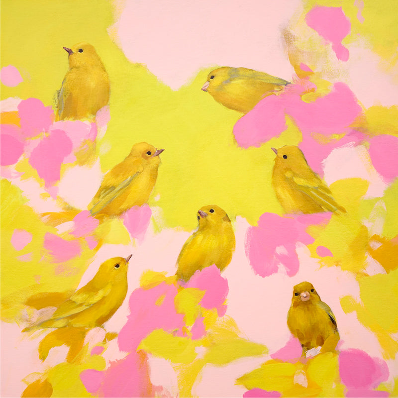 Heidi Langridge Yellow Birds in Pink