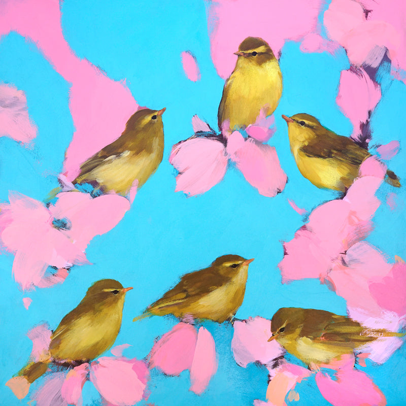Warblers in Pink and Blue Heidi Langridge
