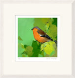 Heidi-Langridge-Chaffinch-in-Mix-of-Greens-Framed