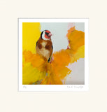 Art print of a bird on yellow flowers with a white border