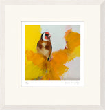 Framed artwork of a bird on a yellow and orange abstract background