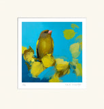 Heidi-Langridge-Greenfinch-Mounted
