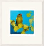 Framed artwork of a yellow bird on blue background