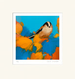 Heidi-Langridge-Long-Tailed-Tit-Mounted