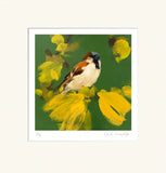 Heidi-Langridge-Sparrow-Mounted