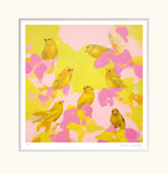 Heidi Langridge Yellow Birds in Pink-Mounted
