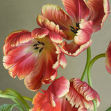 Mia Tarney Parrot Tulips Limited Edition Artwork