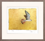 Framed artwork of a bird in flight on a gold background