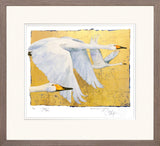 Framed artwork of two white swans flying against a gold background