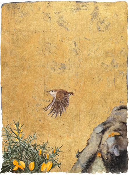 Wren - The Lost Words | Jackie Morris & Robert MacFarlane | Free