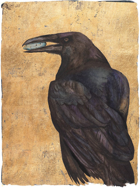 Raven - The Lost Words | Jackie Morris & Robert MacFarlane | Free