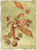 Jackie Morris Robert McFarlane The Lost Words Conker Signed Limited Edition Artwork