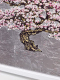 Close-up of cherry blossom tree with pink flowers on a gray background