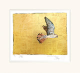 Framed artwork of a bird in flight on a gold background