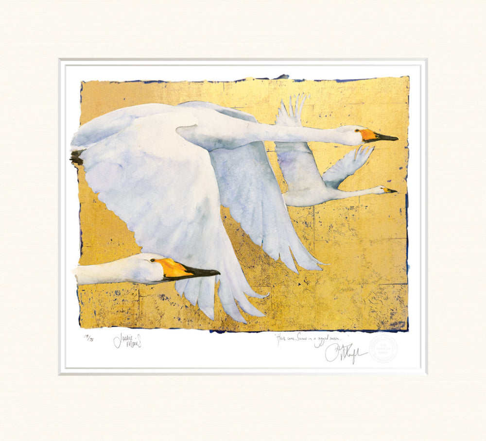 Two white swans on a textured yellow background with a white border.