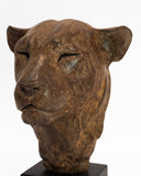 Jenna-Gearing-Lioness1