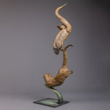 Jenna-Gearing-Swimming-Otters