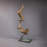 Jenna-Gearing-Swimming-Otters