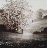 Person walking through a misty field with a large flowering tree.