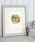 Beatrix Potter-I Prefer To Live In The Country | Official Collectors Edition | Free UK Delivery 