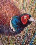 Colorful painting of a pheasant in a natural setting