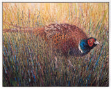 Painting of a pheasant in a grassy field