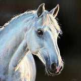 Artwork of a white horse's head on a black background