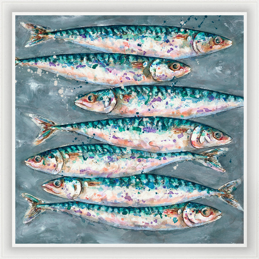 Giles Ward Marine Sea Life Artist The Rose Gallery giles-ward-marine-sea-life-artist-the-rose-gallery