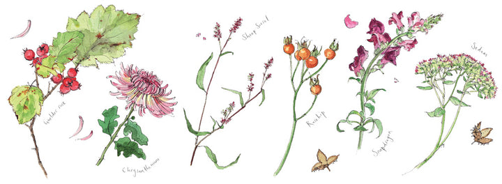 Madeleine Floyd Illustrative Art Limited Editions The Rose Gallery madeleine-floyd-illustrative-art-limited-editions-the-rose-gallery