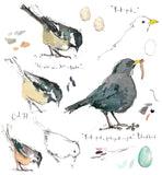 Blackbird and Coal Tit Sketchbook