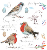 Robin and House Sparrow Sketchbook