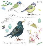 Madeleine Floyd- Blue Tit and Starling Sketchbook