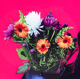 Maxim-Pacifier-detail2