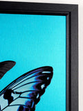 Close-up of a framed butterfly artwork with a vivid turquoise background and a black frame, showing part of a blue-and-black butterfly wing.