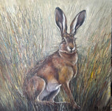 single hare in grass