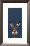 Nicky Litchfield Midnight Hare - Original