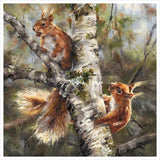 Two squirrels on a tree branch with a blurred forest background