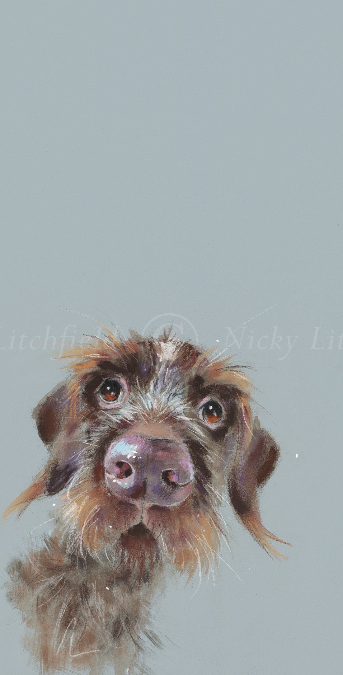 Nicky Litchfield Mischievous Signed Limited Edition Artwork