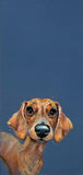 Nicky Litchfield Sausage Dog Original Artwork