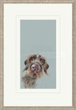 Framed artwork of a dog's face on a light blue background