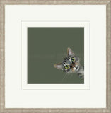 Nicky-Litchfield-playtime-new