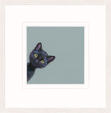 Nicky Litchfield black kitten against a blue grey background framed in white moulding