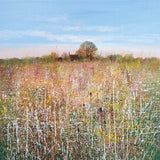 Paul Evans Wild Summer Meadow British landscape mounted art