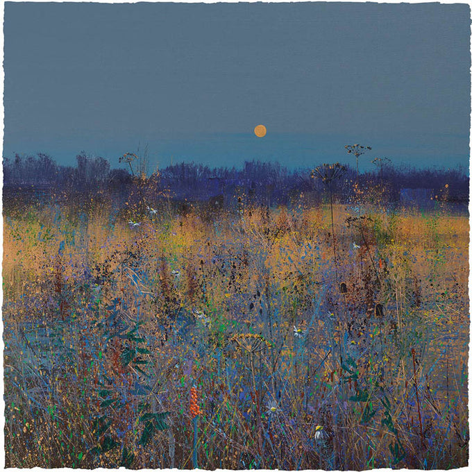 Moonlit Landscapes