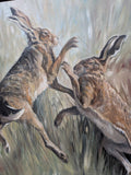 Close up of two hares frighting 