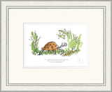 framed illustration of tortoise surrounded by green grass.