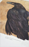 Jackie Morris Robert McFarlane The Lost Words Raven Signed Limited Edition Artwork