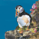 Puffin artwork Sarah Jackson unframed