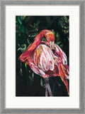 Sarah Jackson wildlife art limited edition art print Flamingo framed